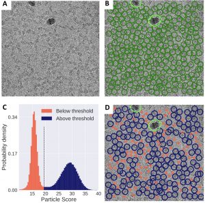 Unsupervised particle sorting for high-resolution single-particle cryo-EM