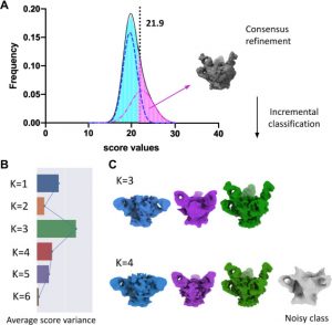 Data-driven determination of number of discrete conformations in single-particle cryo-EM