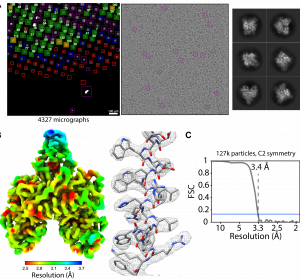 Automated systematic evaluation of cryo-EM specimens with SmartScope