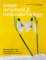 Nature Structural & Molecular Biology, December 2013
